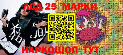 apvp Пугачёв
