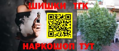 apvp Пугачёв