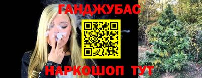 apvp Пугачёв